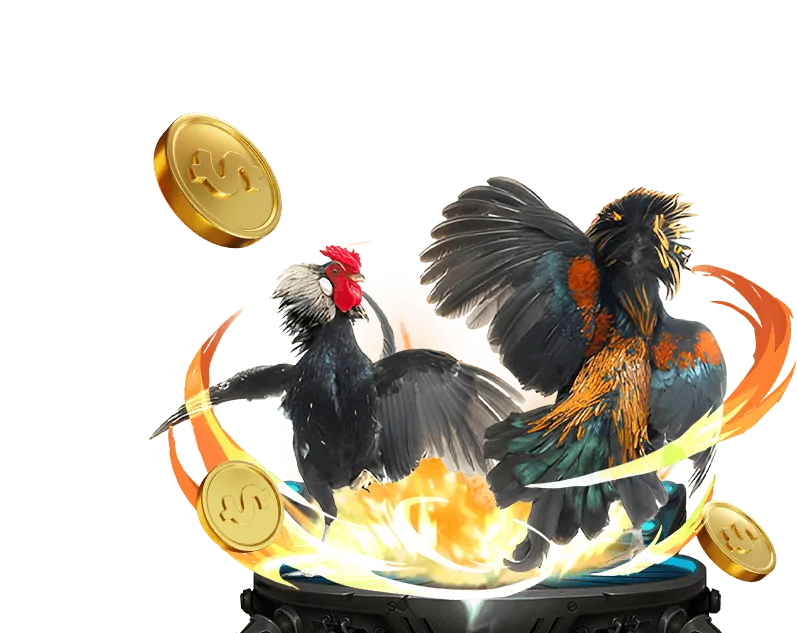 Tổng quan về đá gà trực tuyến tại H3BET