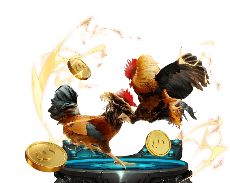 Giao diện đặt cược đá gà H3BET